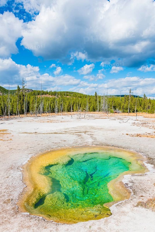 Turquoise West Geyser