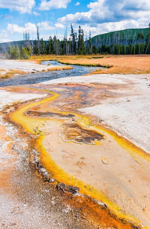 Colorful soil