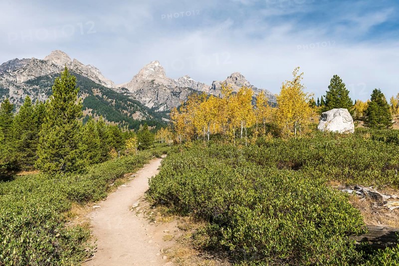 Hiking trail to Taggart Lake