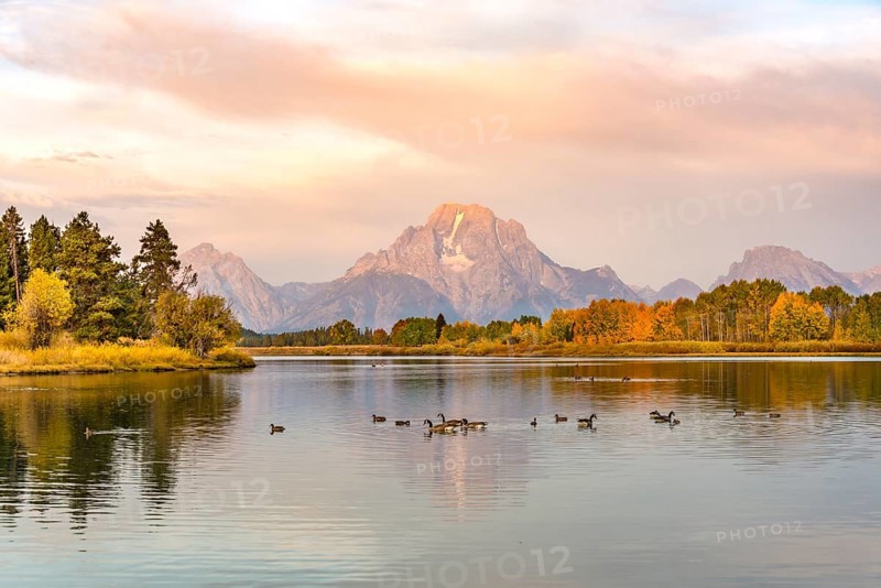 Mount Moran reflected in Snake River