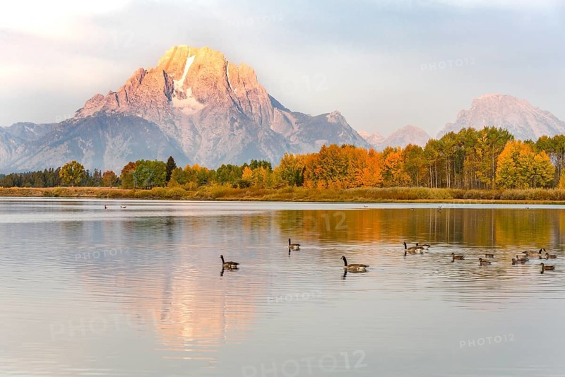 Mount Moran reflected in Snake River