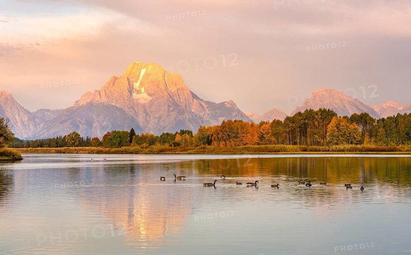 Mount Moran reflected in Snake River