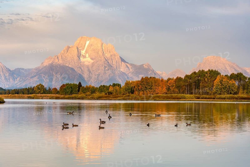 Mount Moran reflected in Snake River