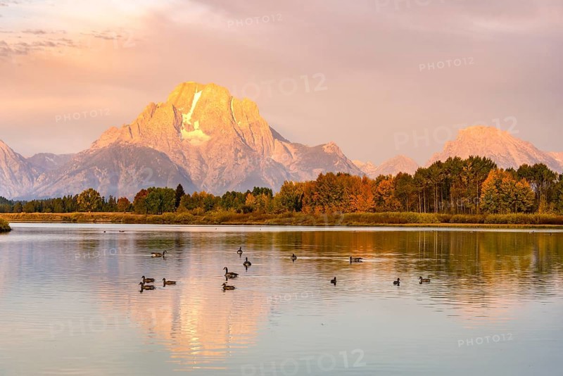 Mount Moran reflected in Snake River