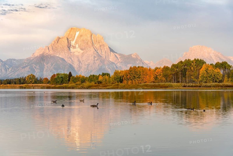 Mount Moran reflected in Snake River