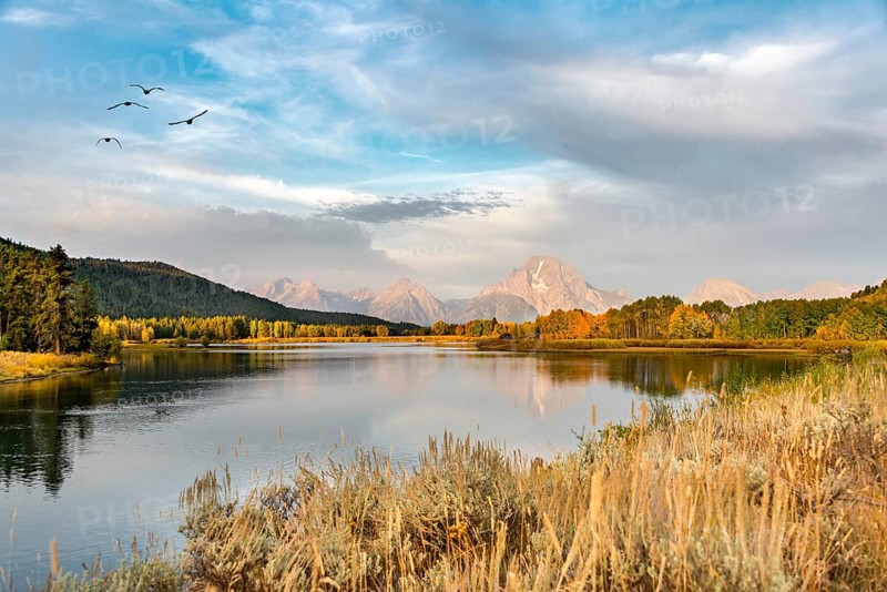 Mount Moran reflected in Snake River