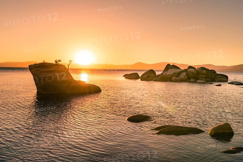 Bonsai Rock