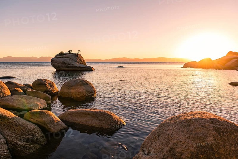 Bonsai Rock