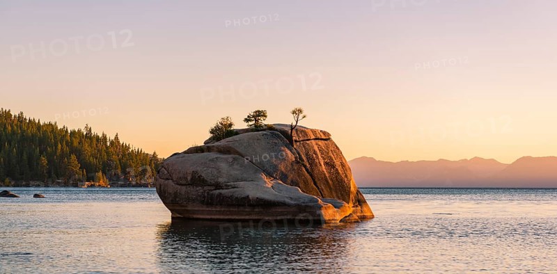 Bonsai Rock