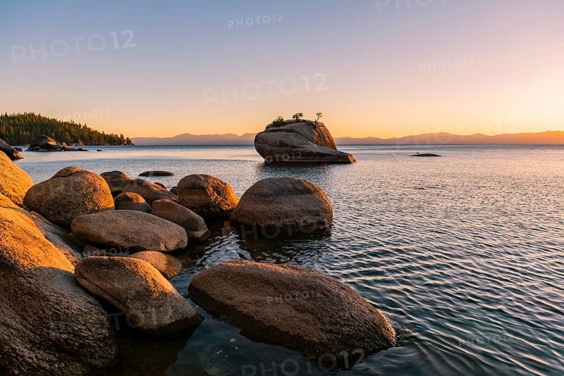 Bonsai Rock