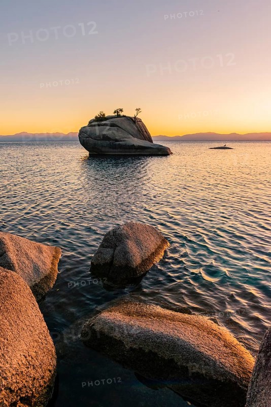 Bonsai Rock
