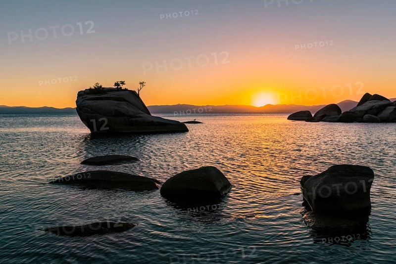 Bonsai Rock