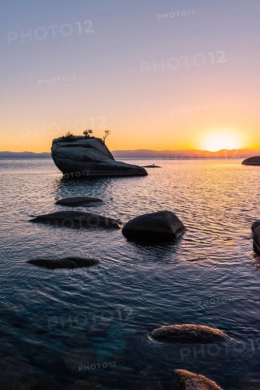 Bonsai Rock