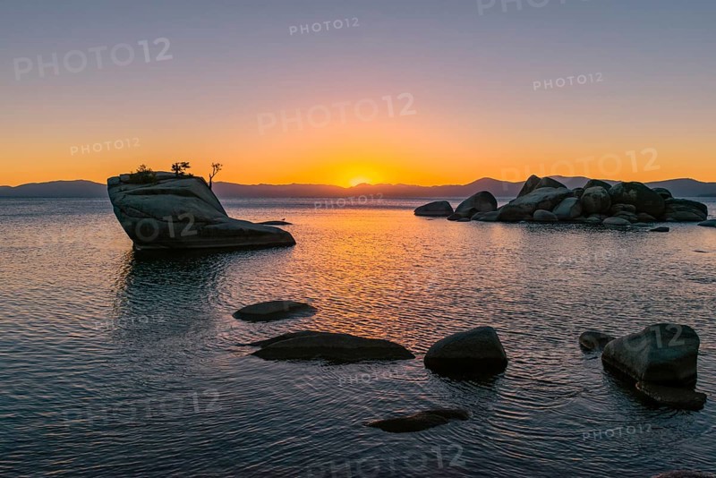 Bonsai Rock