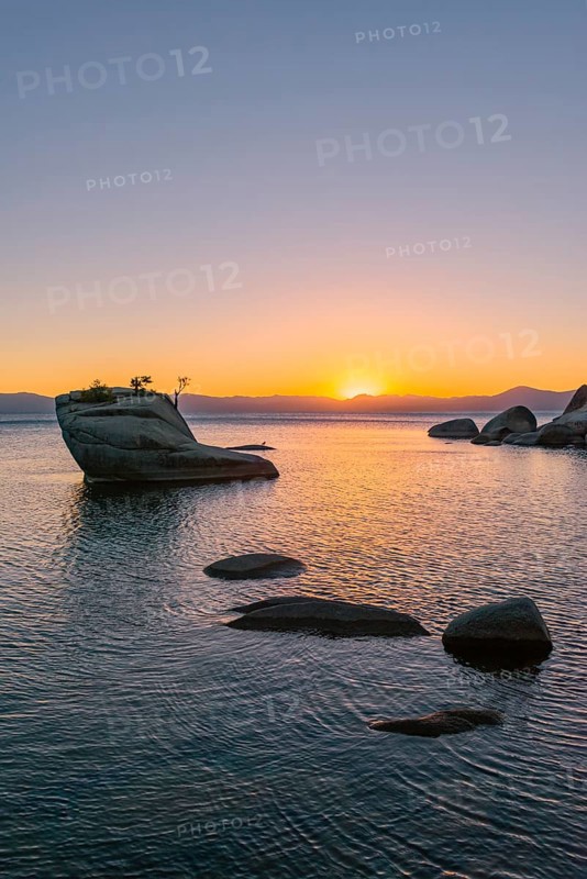 Bonsai Rock