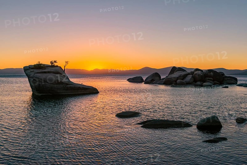 Bonsai Rock
