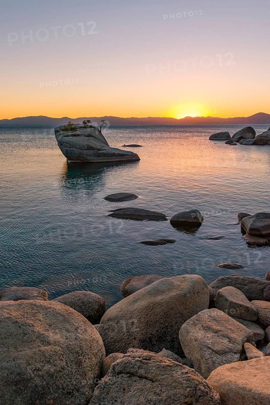 Bonsai Rock