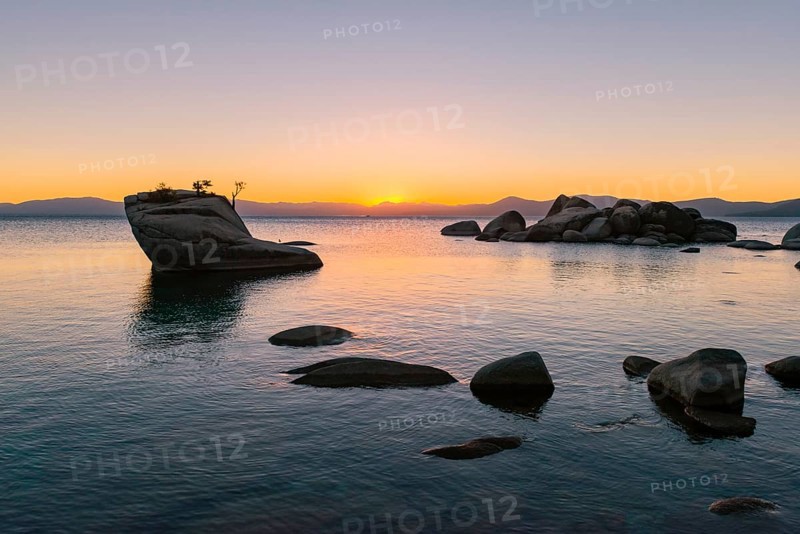 Bonsai Rock