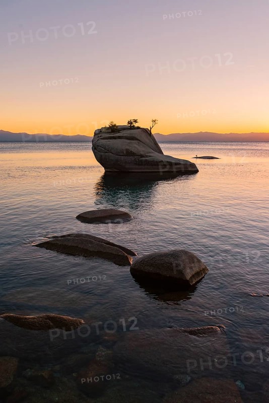 Bonsai Rock