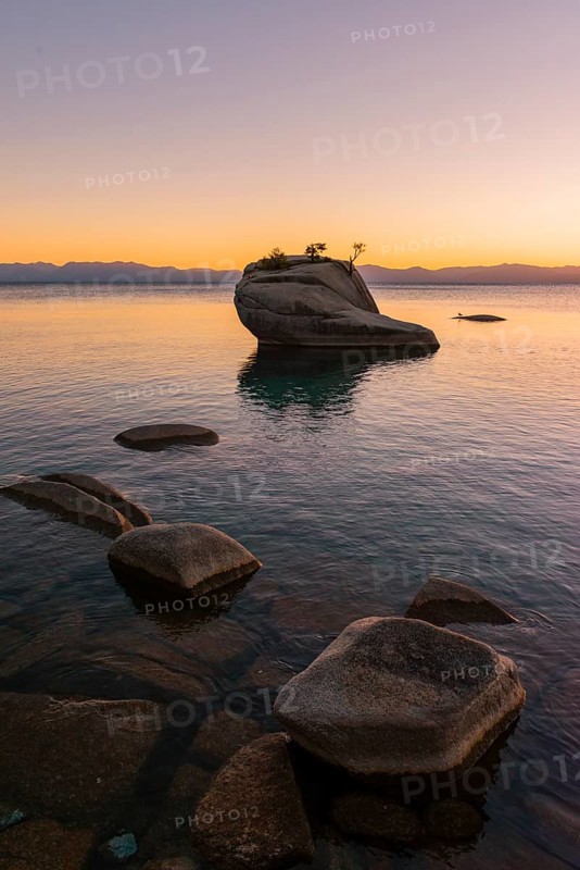 Bonsai Rock
