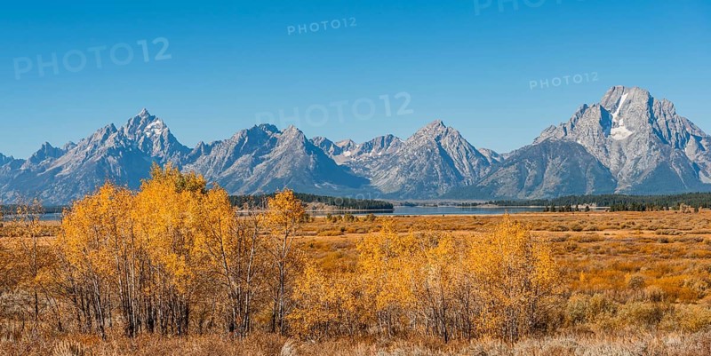 Autumn landscape