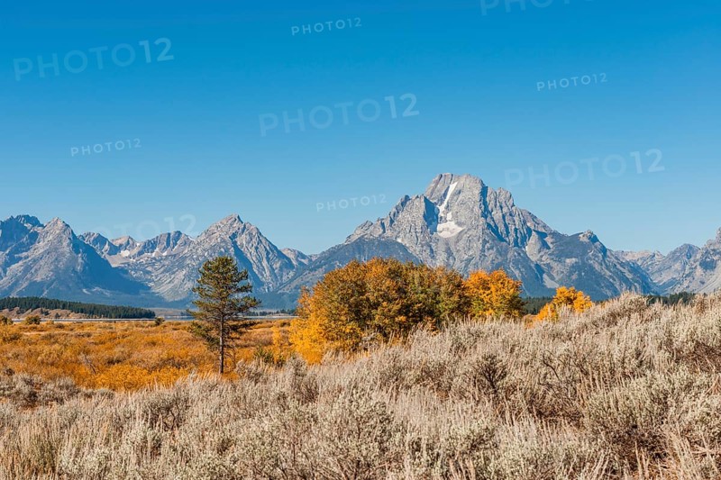 Autumn landscape