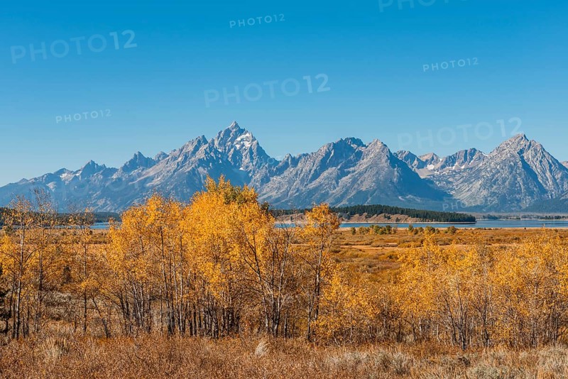 Autumn landscape