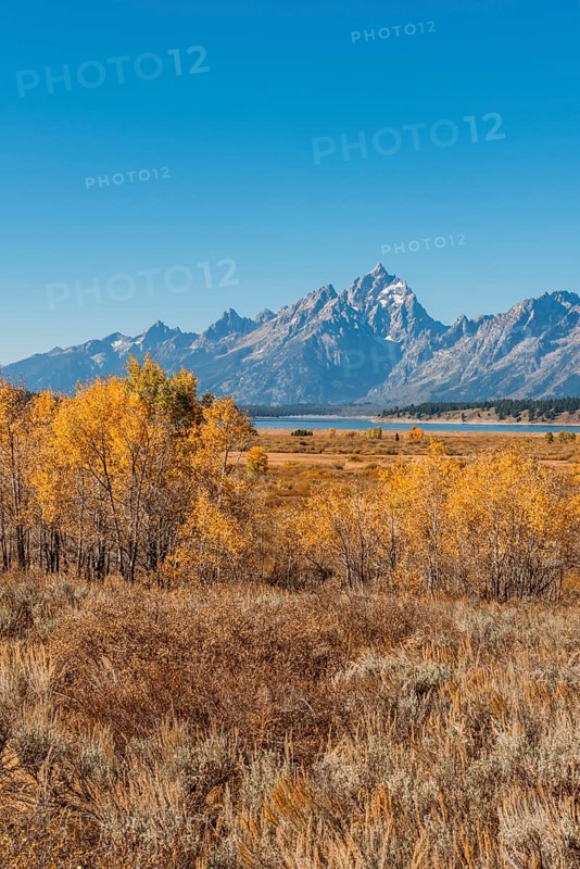 Autumn landscape