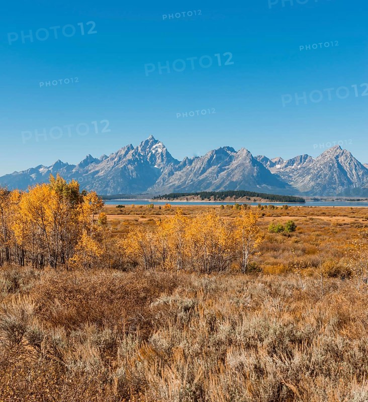 Autumn landscape