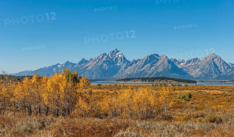 Autumn landscape