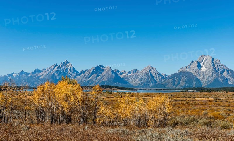 Autumn landscape