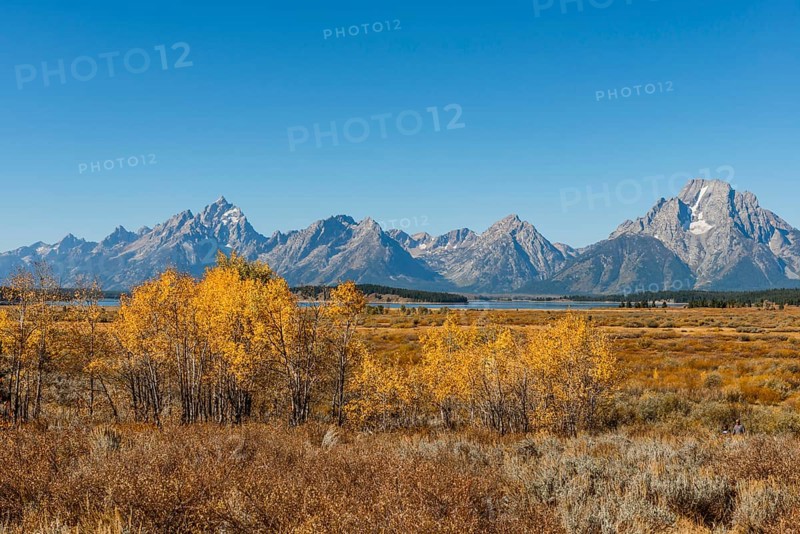 Autumn landscape