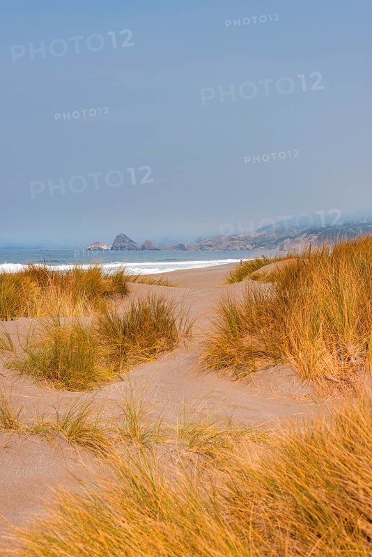 View over over overgrown sand dunes on rocky coast