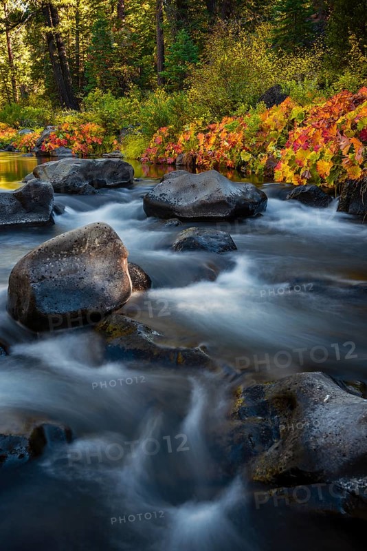 Autumn vegetation on the McCloud River