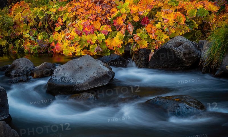 Autumn vegetation on the McCloud River