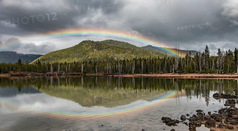 Rainbow in dark clouds over a forest