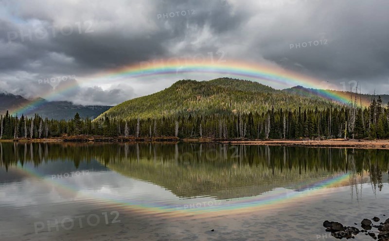 Rainbow in dark clouds over a forest