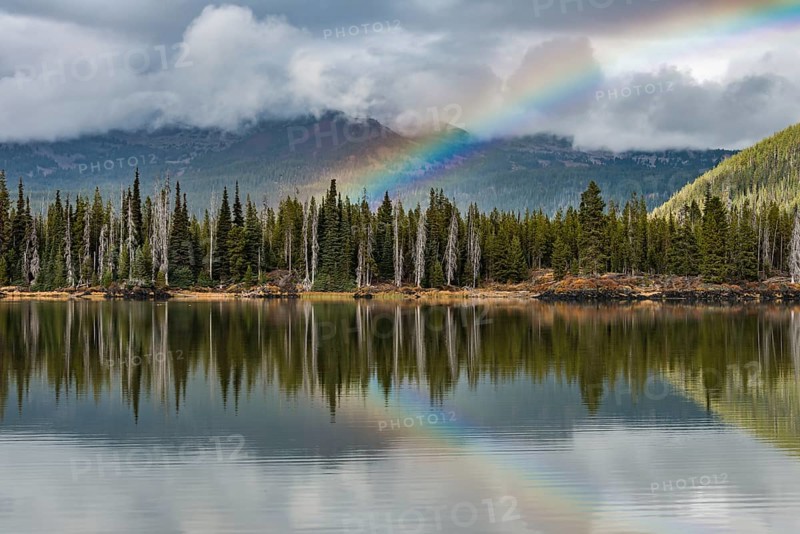 Rainbow in clouds over a forest