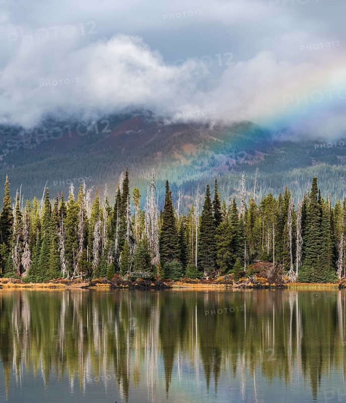 Rainbow in clouds over a forest