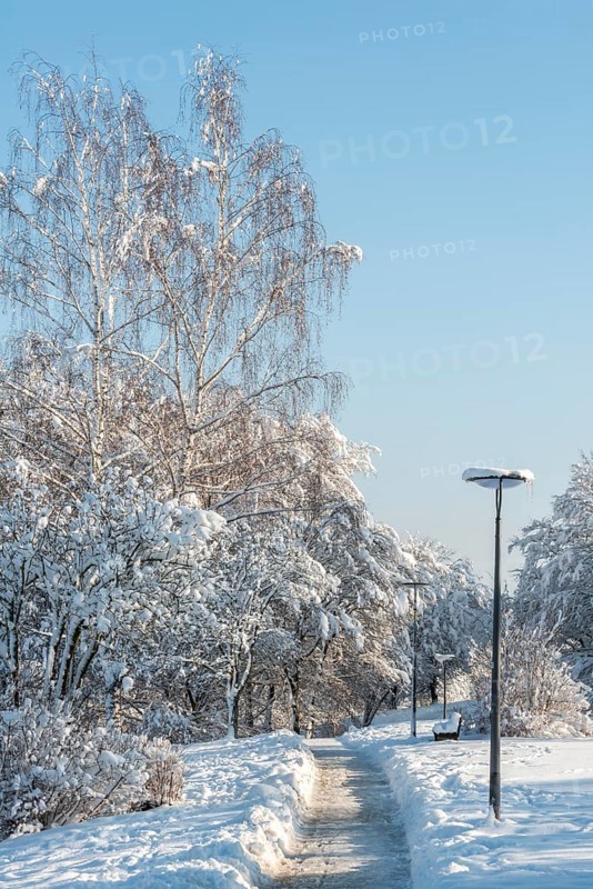 Way in a park in winter with snow