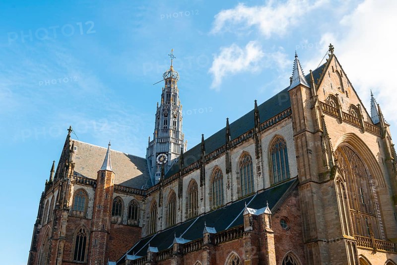 Gothic Cathedral Sint-Bavokerk