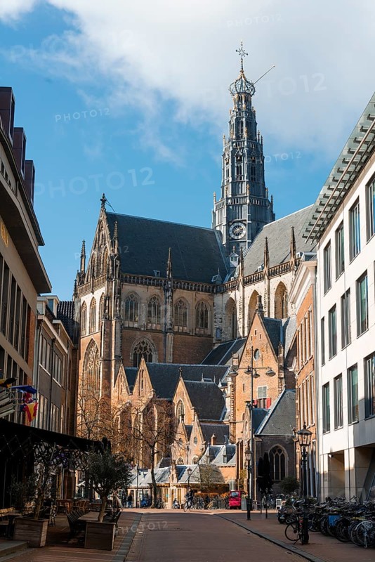 Gothic Cathedral Sint-Bavokerk