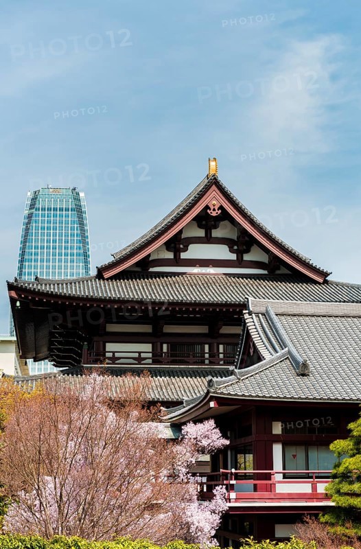 Zojoji Temple