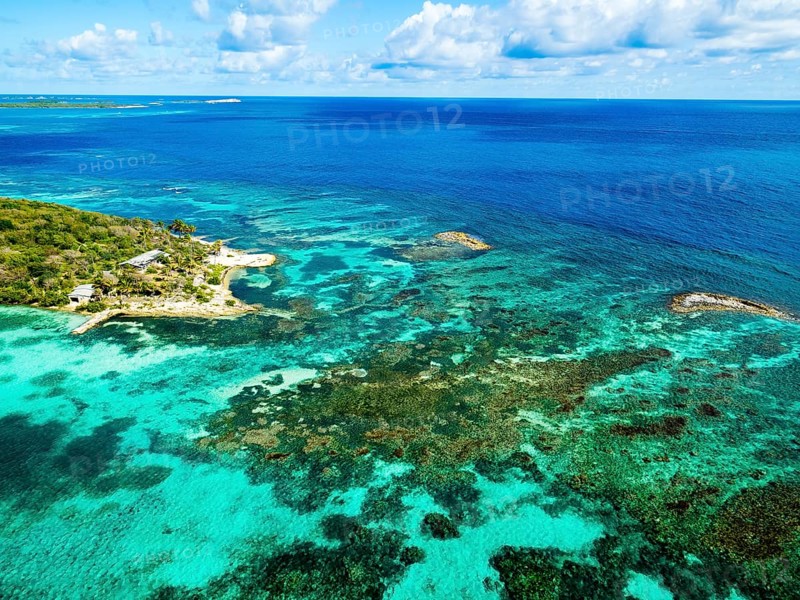 Coral reef off Great Bird Island