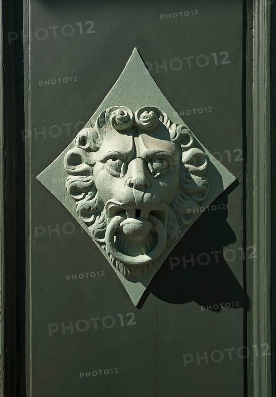 Lion head as a door knocker on a door