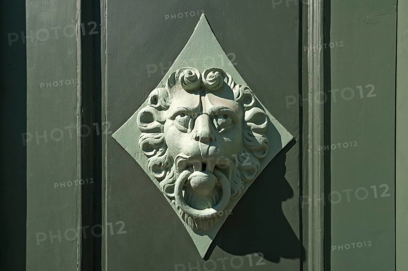 Lion head as a door knocker on a door
