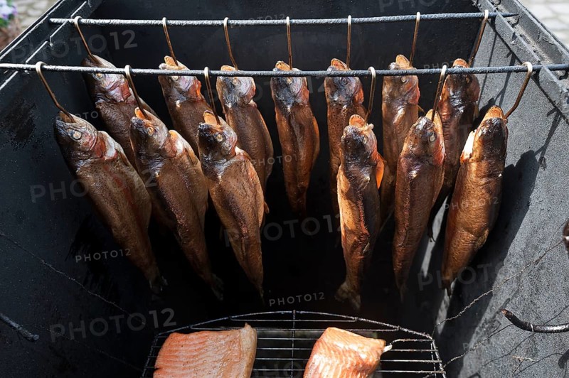 Smoked trout (Salmo trutta) in flue