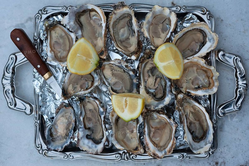 Fresh oysters (Ostreidae) with lemon and an oyster knife on a tray