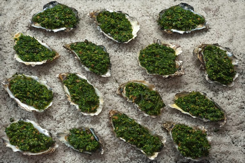 Spicy oysters (Ostreidae) a la Rockefeller with spinach on coarse salt