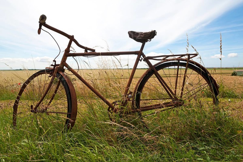 Rusted bicycle in grass by roadside